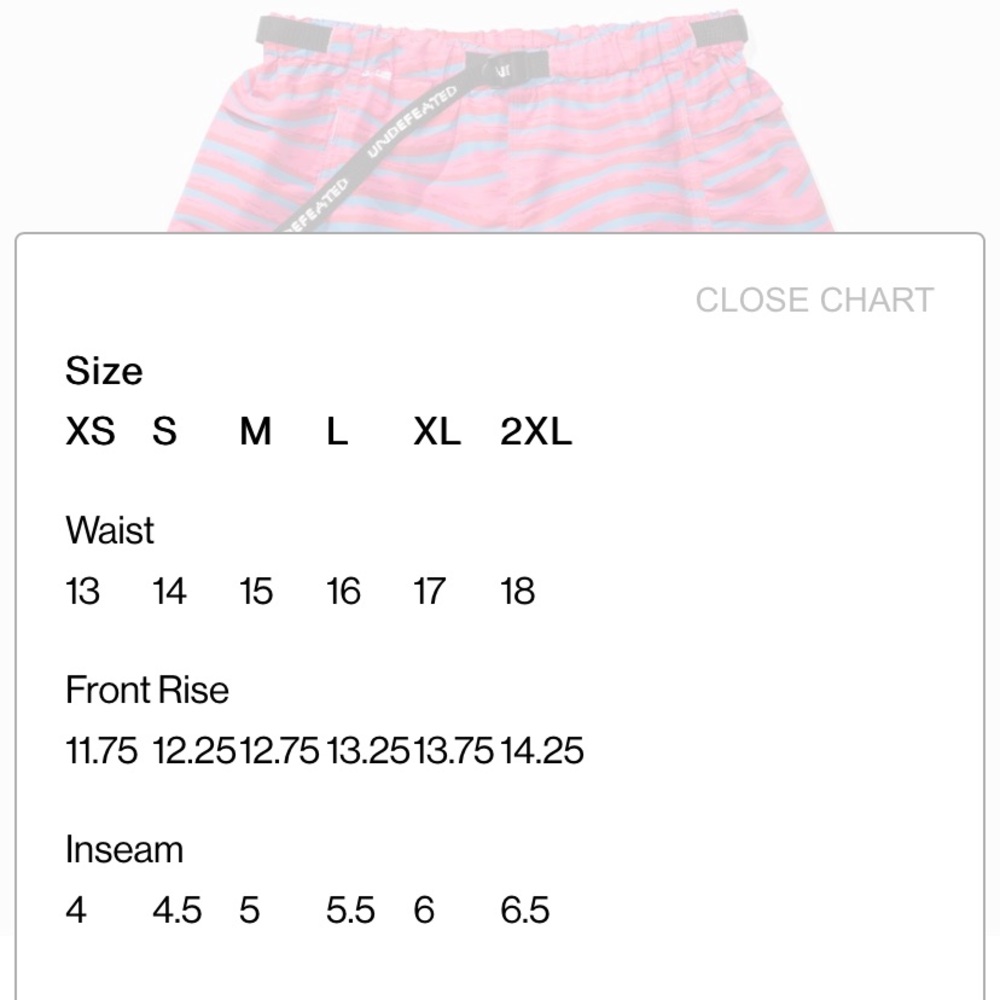Undefeated Baggy Short - Picture 7 of 7
